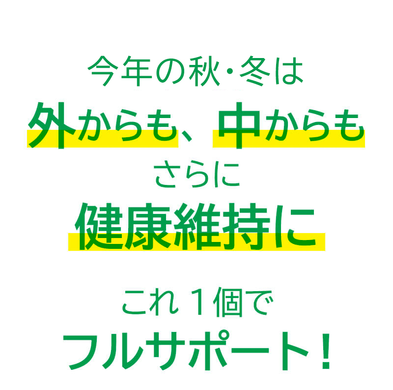 今年の秋冬は