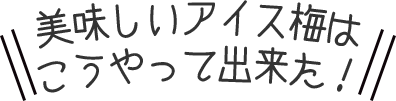 美味しいアイス梅はこうやってできた