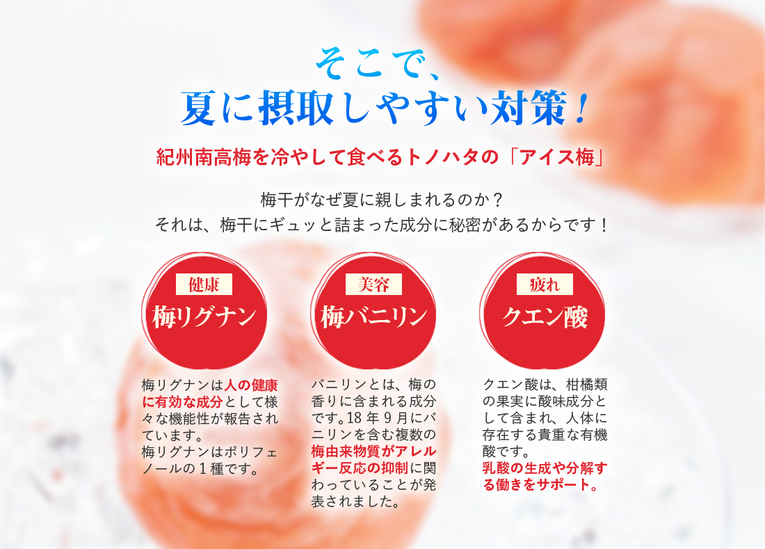 説明