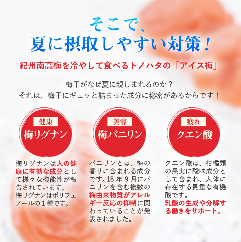 説明