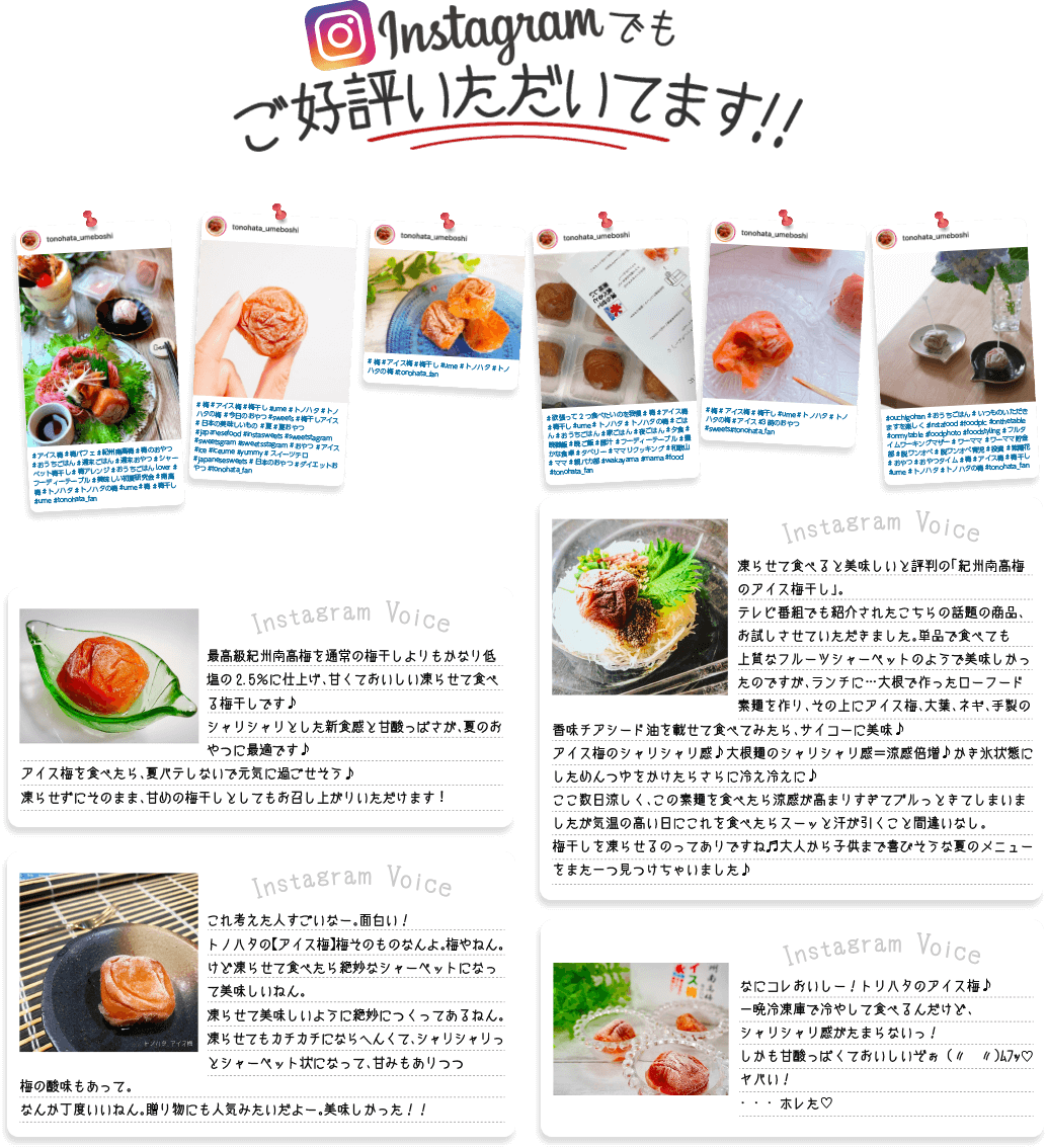 インスタでも好評