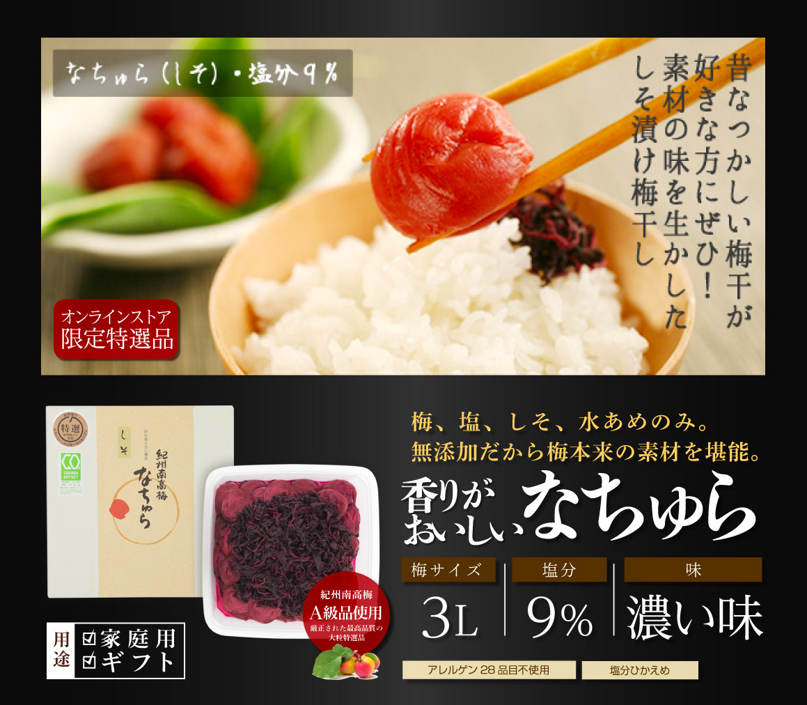 なちゅらの紹介1