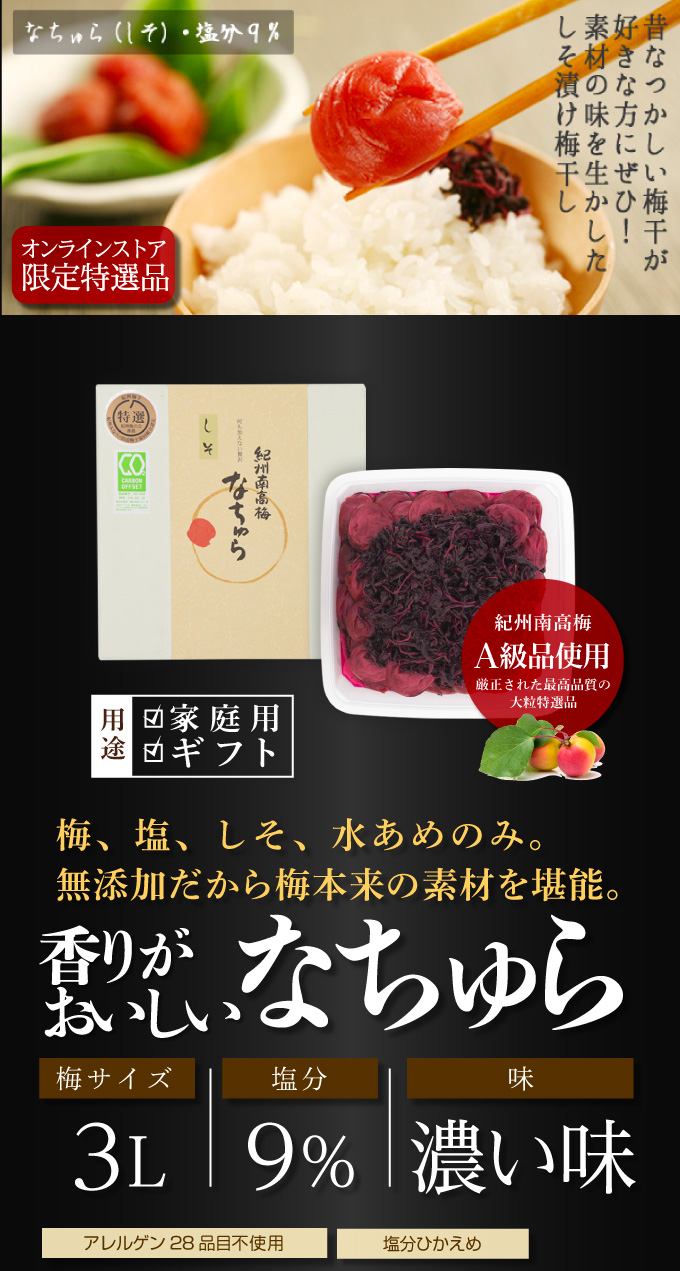 なちゅらの紹介1