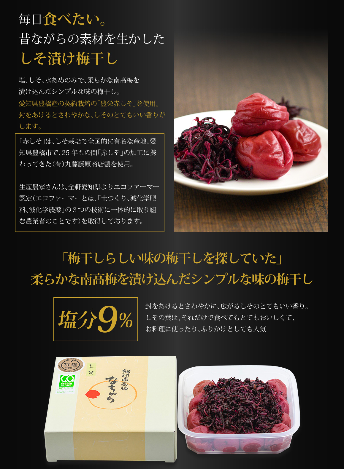 なちゅら小梅の紹介2